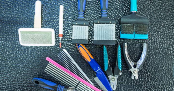 A picture of the essential Yorkie grooming equipment including slicker brush, comb, nail clippers, and scissors for DIY grooming tips and tricks.