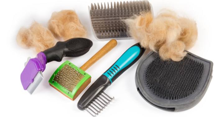 A selection of grooming tools for Yorkies with hair 