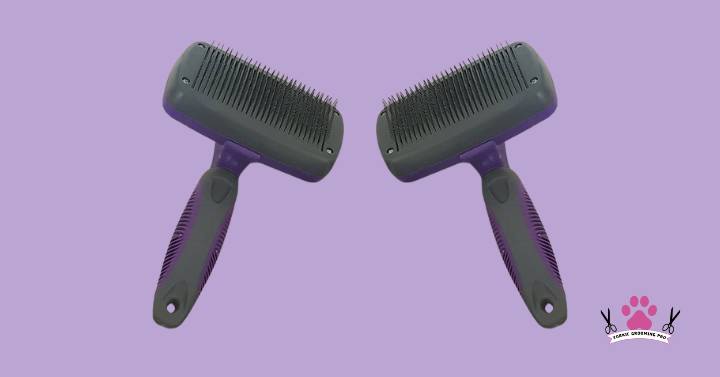 A self-cleaning slicker brush, a specialized tool for Yorkie grooming