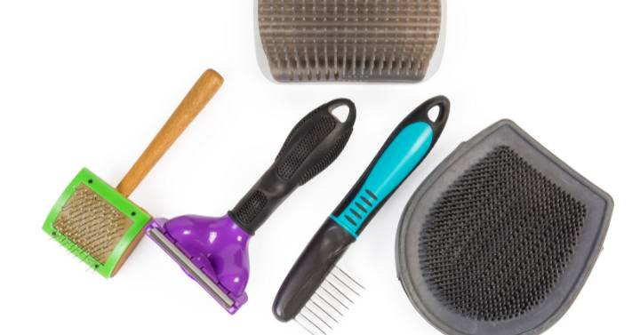 A set of recommended Yorkie grooming brushes for dealing with mats and tangles